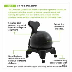 Champion Sports FitPro Ball Chair, Supports Up To 200 Lb, Gray